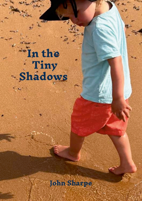 IN THE TINY SHADOWS