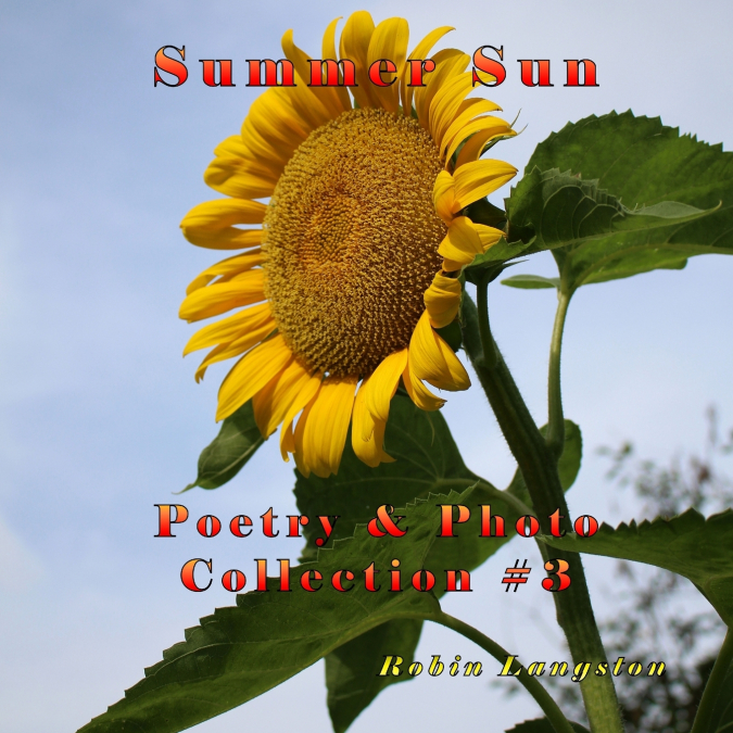 SUMMER SUN