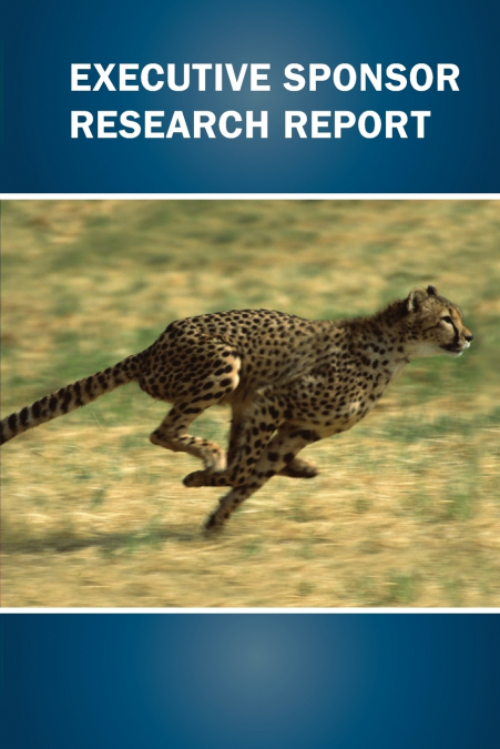 EXECUTIVE SPONSOR RESEARCH REPORT