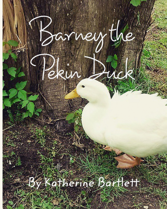 BARNEY THE PEKIN DUCK