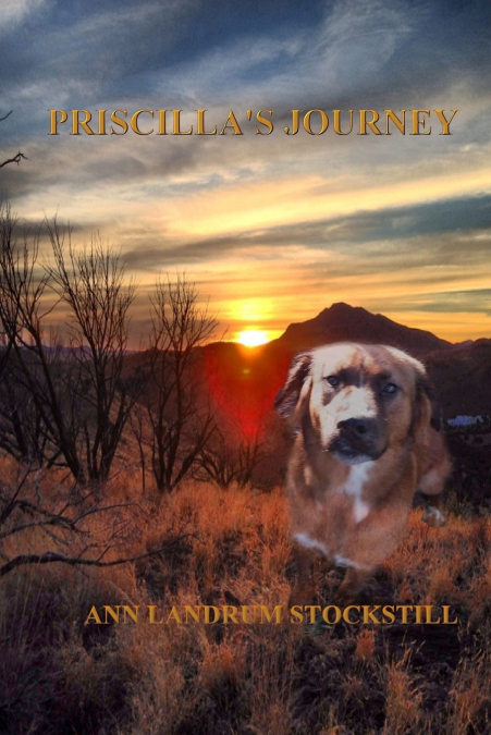 PRISCILLA?S JOURNEY
