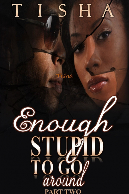 ENOUGH STUPID TO GO AROUND (THE FINALE)
