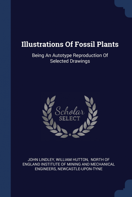 ILLUSTRATIONS OF FOSSIL PLANTS