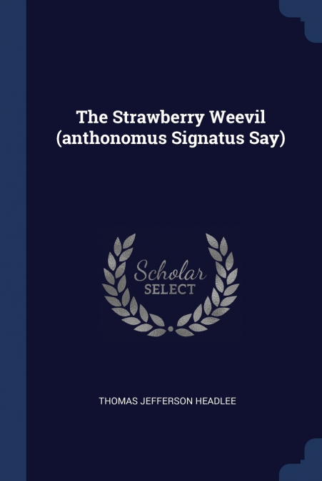 THE STRAWBERRY WEEVIL (ANTHONOMUS SIGNATUS SAY)