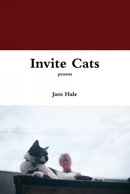 INVITE CATS