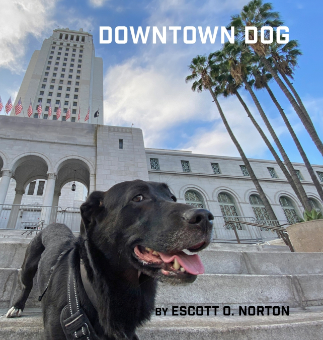 DOWNTOWN DOG