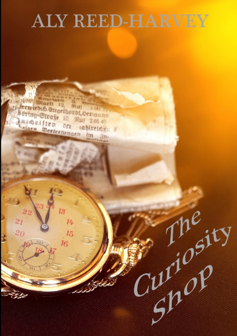 THE CURIOSITY SHOP