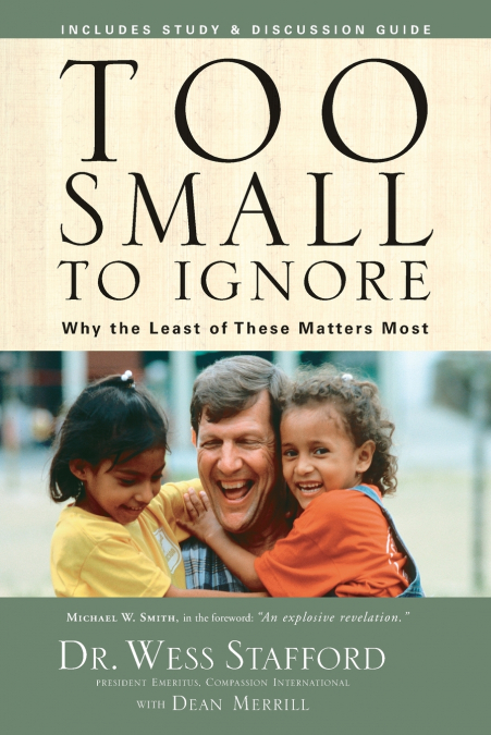 TOO SMALL TO IGNORE