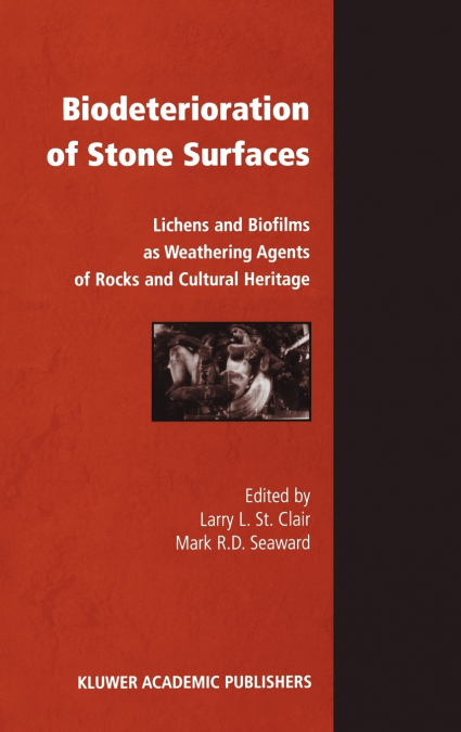 BIODETERIORATION OF STONE SURFACES
