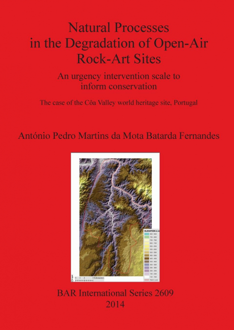 NATURAL PROCESSES IN THE DEGRADATION OF OPEN-AIR ROCK-ART SI