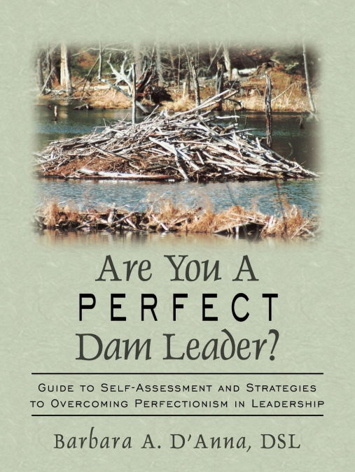 ARE YOU A PERFECT DAM LEADER?