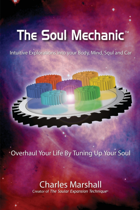 THE SOUL MECHANIC