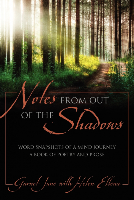 NOTES FROM OUT OF THE SHADOWS