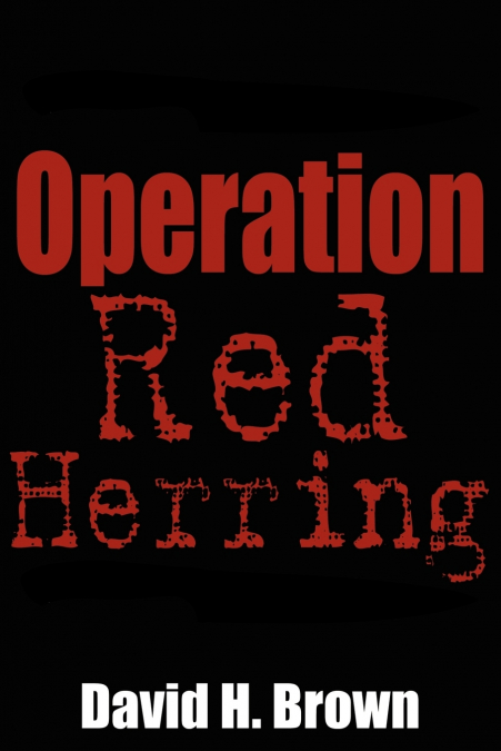 AIRLINE PASSENGER SCREENING HAS BECOME A FEMA-TYPE SNAFU