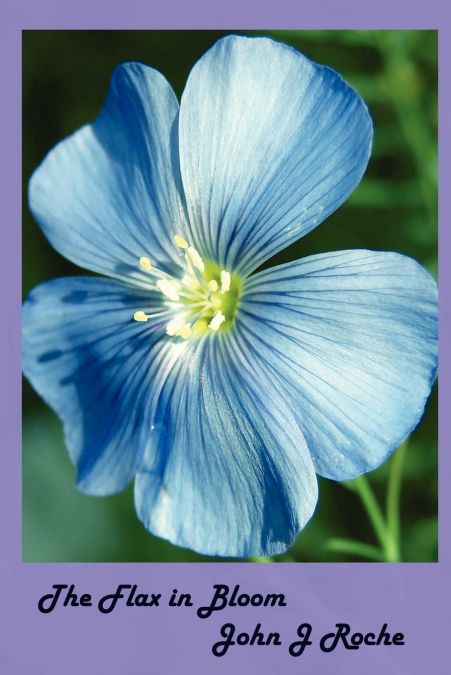 THE FLAX IN BLOOM
