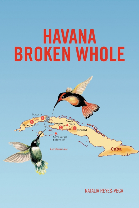 HAVANA BROKEN WHOLE