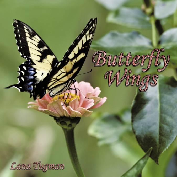BUTTERFLY WINGS