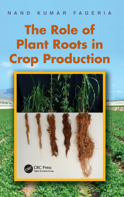 THE ROLE OF PLANT ROOTS IN CROP PRODUCTION