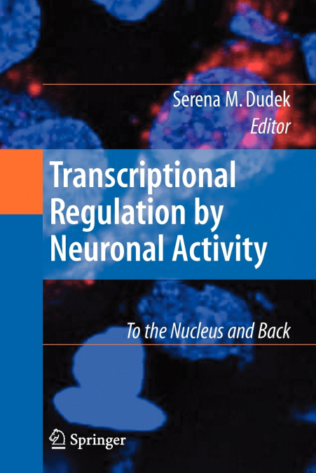 TRANSCRIPTIONAL REGULATION BY NEURONAL ACTIVITY