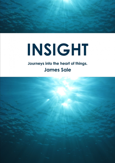 INSIGHT