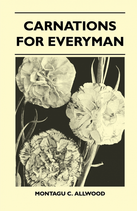 CARNATIONS FOR EVERYMAN