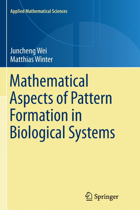MATHEMATICAL ASPECTS OF PATTERN FORMATION IN BIOLOGICAL SYST