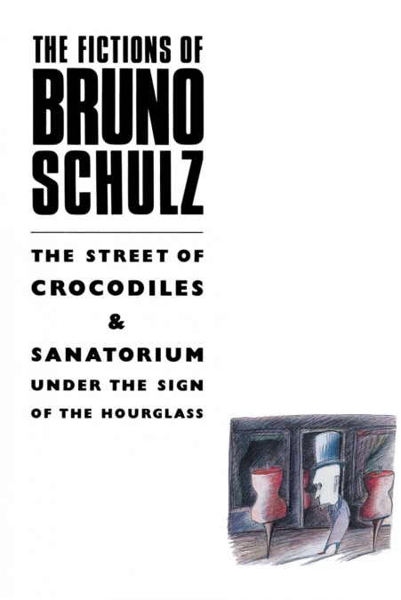THE FICTIONS OF BRUNO SCHULZ