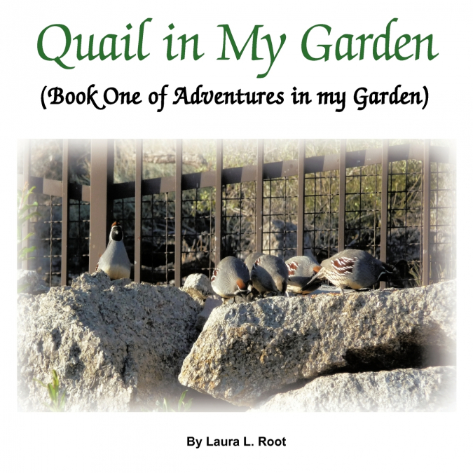 QUAIL IN MY GARDEN