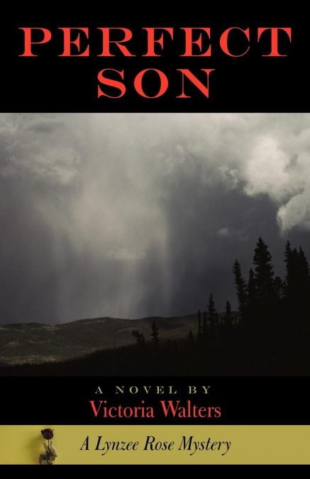 PERFECT SON