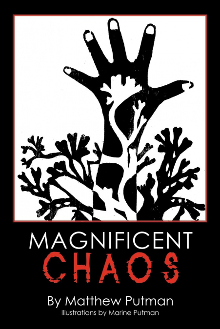 MAGNIFICENT CHAOS