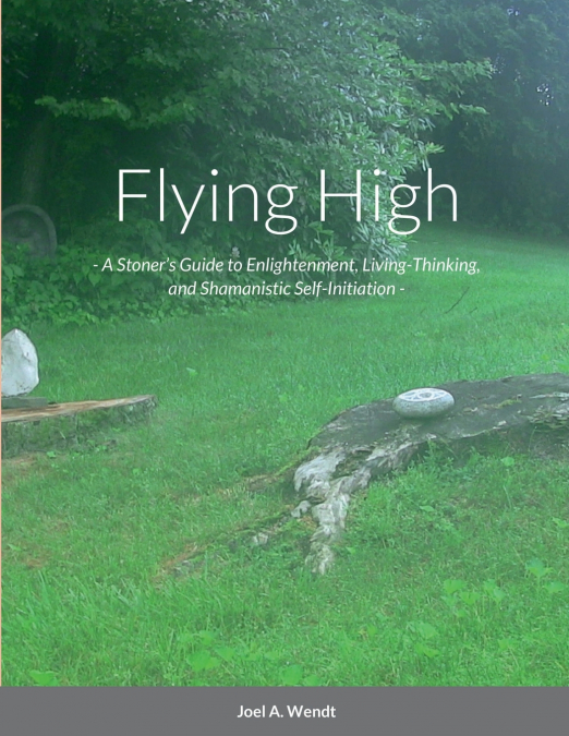 FLYING HIGH