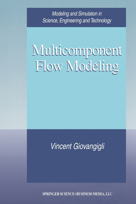 MULTICOMPONENT FLOW MODELING