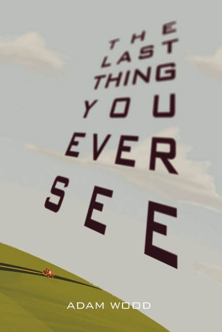 THE LAST THING YOU EVER SEE