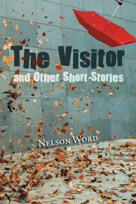 THE VISITOR AND OTHER SHORT STORIES