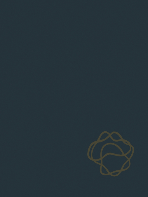 HANDBOOK OF GENERALIZED GAS DYNAMICS