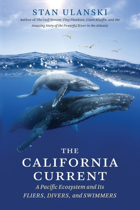 THE CALIFORNIA CURRENT