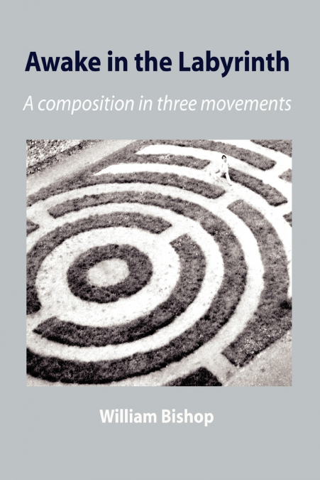 AWAKE IN THE LABYRINTH