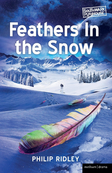 FEATHERS IN THE SNOW