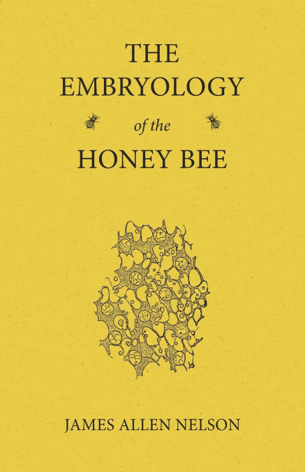 THE EMBRYOLOGY OF THE HONEY BEE
