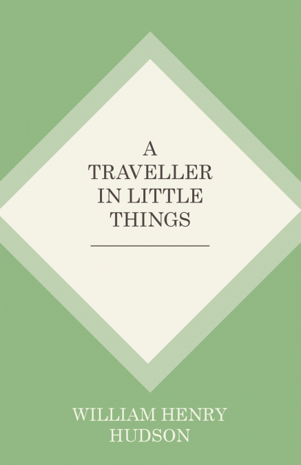 A TRAVELLER IN LITTLE THINGS