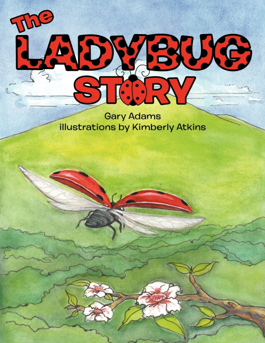 THE LADYBUG STORY