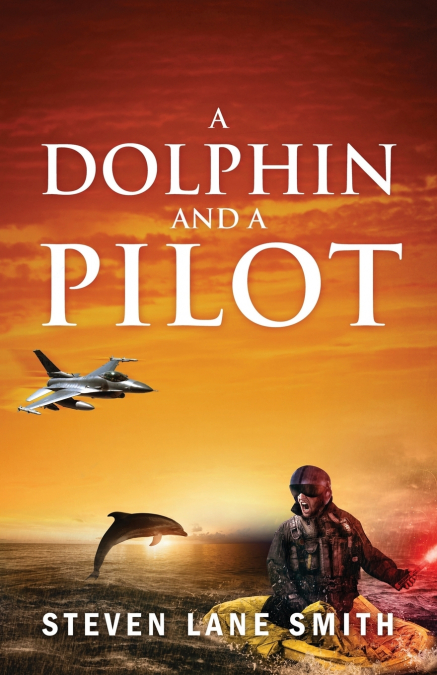 A DOLPHIN AND A PILOT