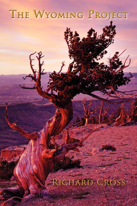THE WYOMING PROJECT