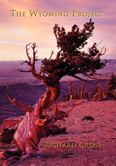 THE WYOMING PROJECT