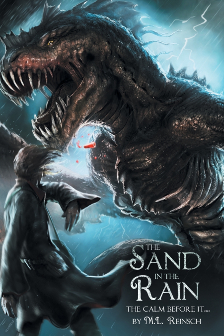 THE SAND IN THE RAIN