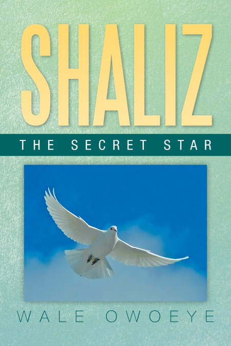 SHALIZ - THE SECRET STAR