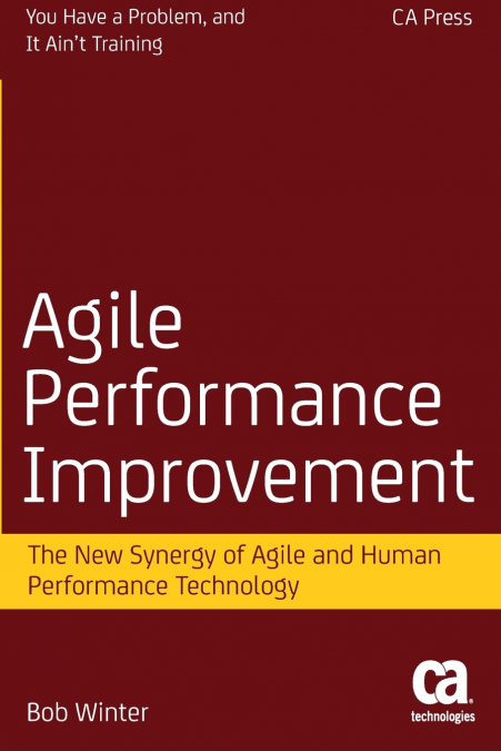 AGILE PERFORMANCE IMPROVEMENT