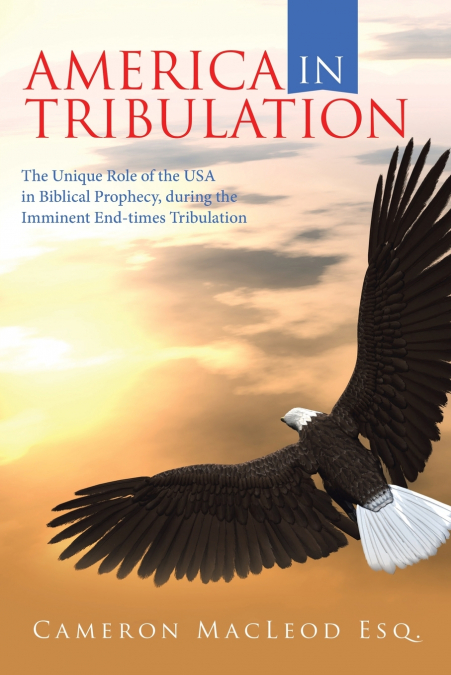 AMERICA IN TRIBULATION