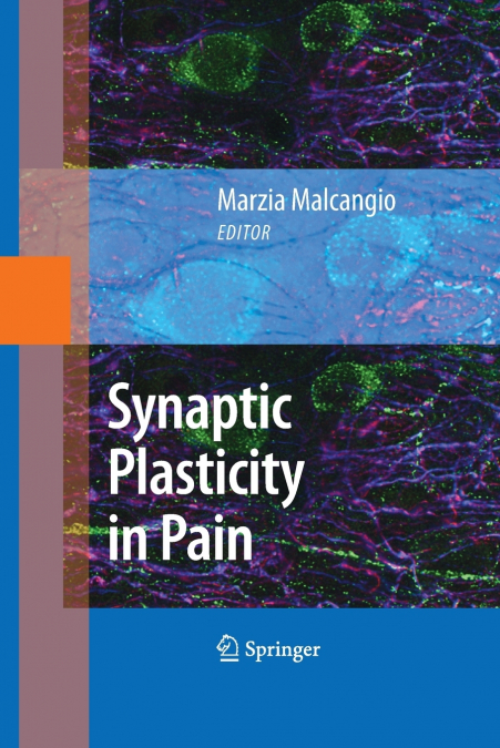 SYNAPTIC PLASTICITY IN PAIN