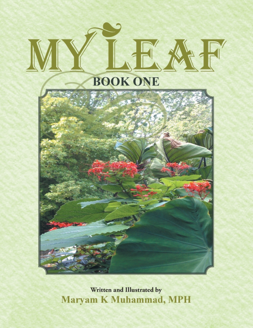 MY LEAF
